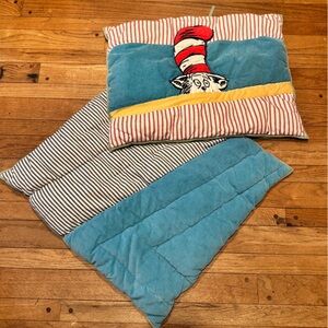 Pottery Barn Dr. Seuss Cat in the Hat Kids Appliqué Pillow Shams